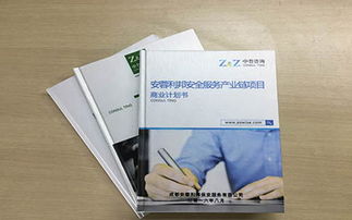 化工廠項目建議書 中哲 咨詢與策劃專業(yè)服務(wù)