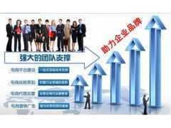 湖南長(zhǎng)沙網(wǎng)絡(luò)營(yíng)銷策劃咨詢服務(wù)