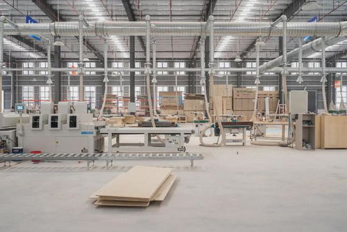 2022飛墨定制工廠全面升級 設計 施工 定制,不斷完善家居模式